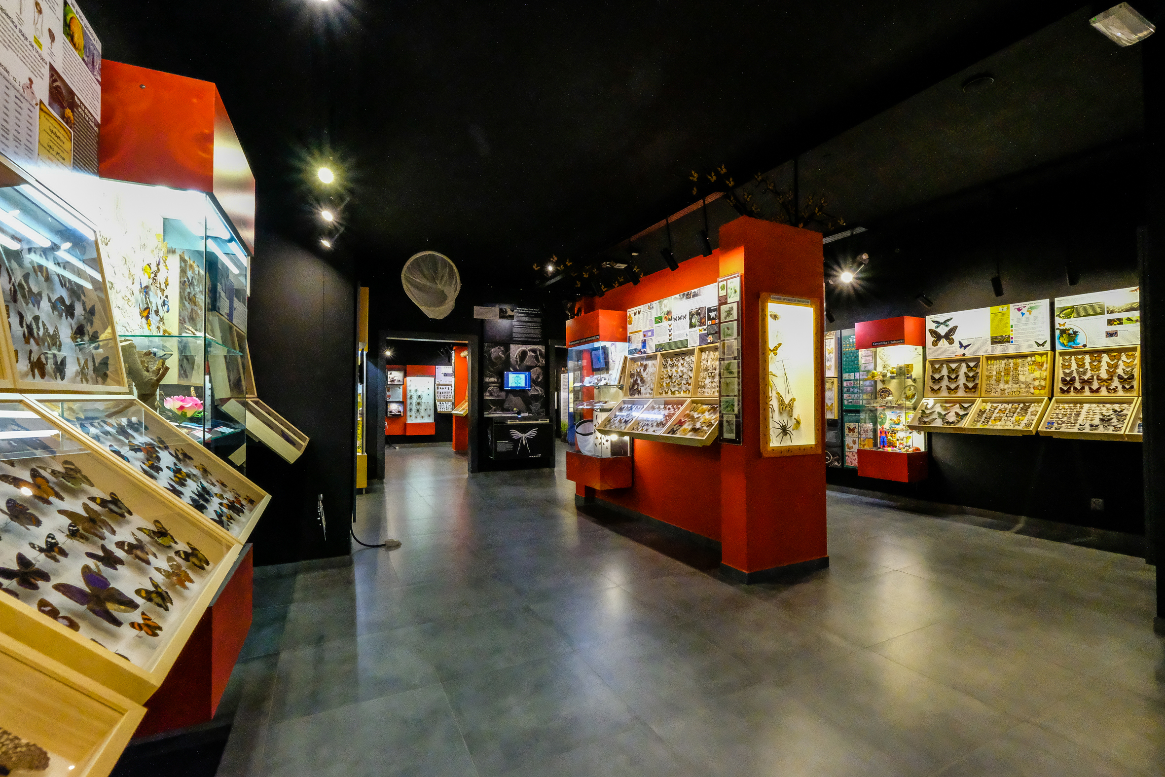 Muzeum Motyli w Łebie - Mehr