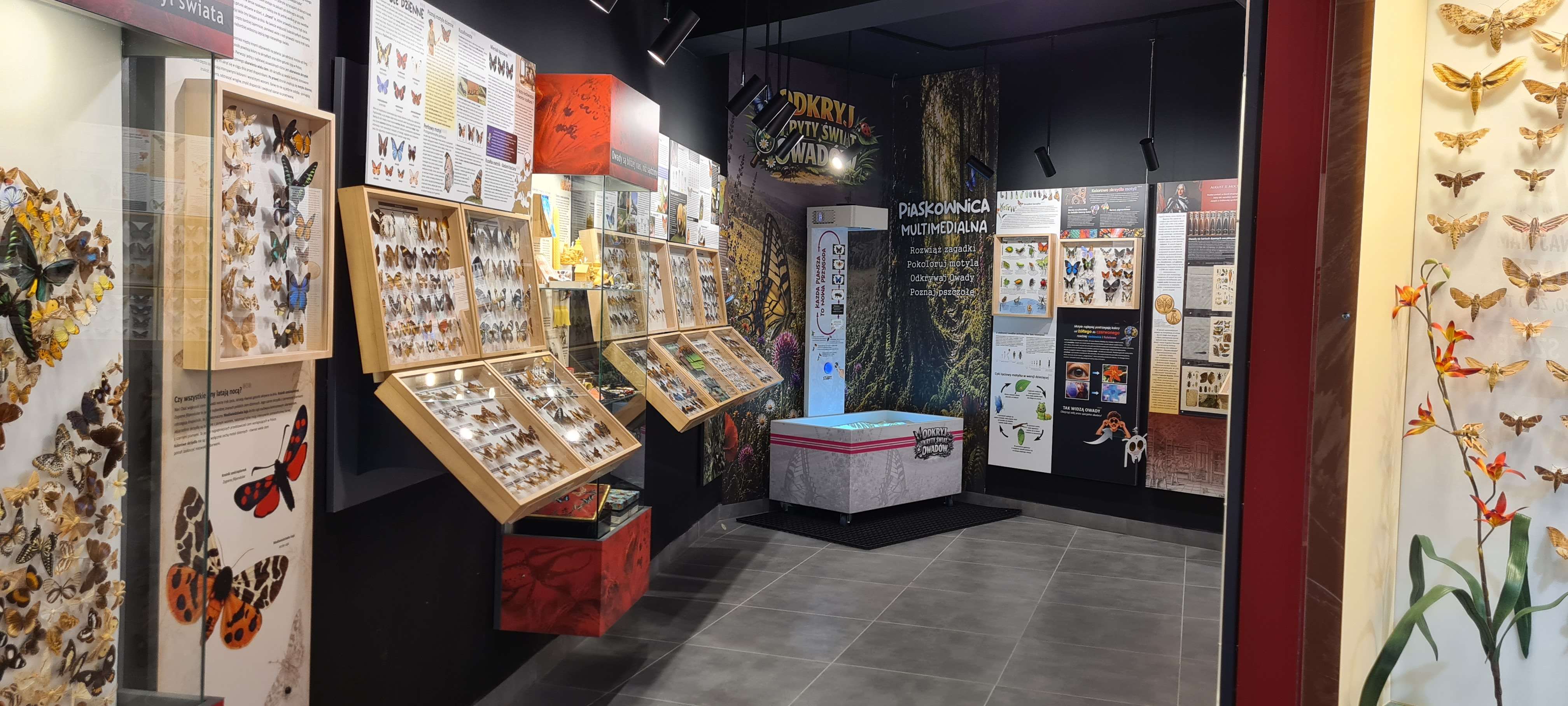 Muzeum Motyli we Władysławowie - Mehr
