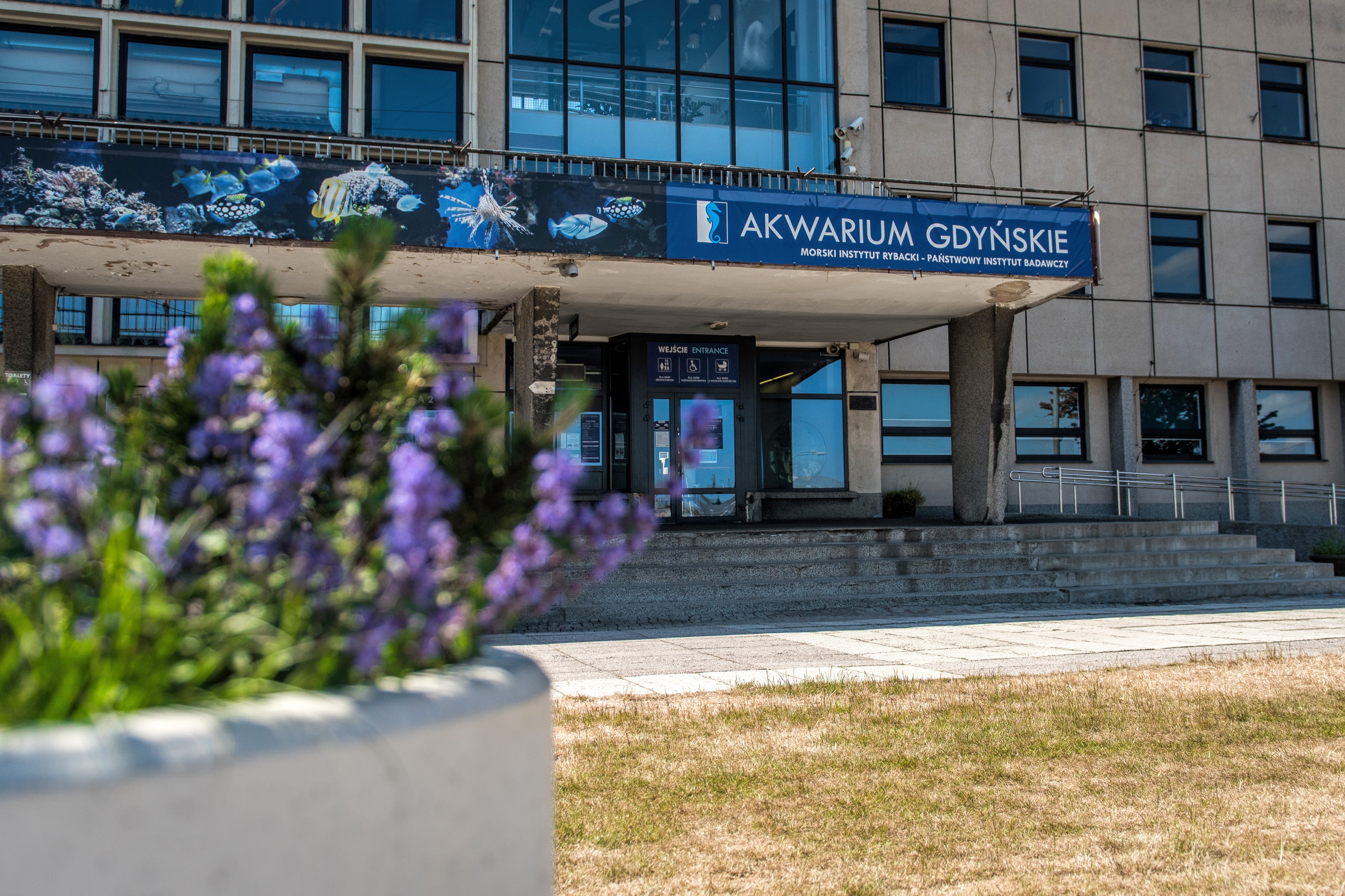 Akwarium Gdyńskie MIR 1 - Więcej